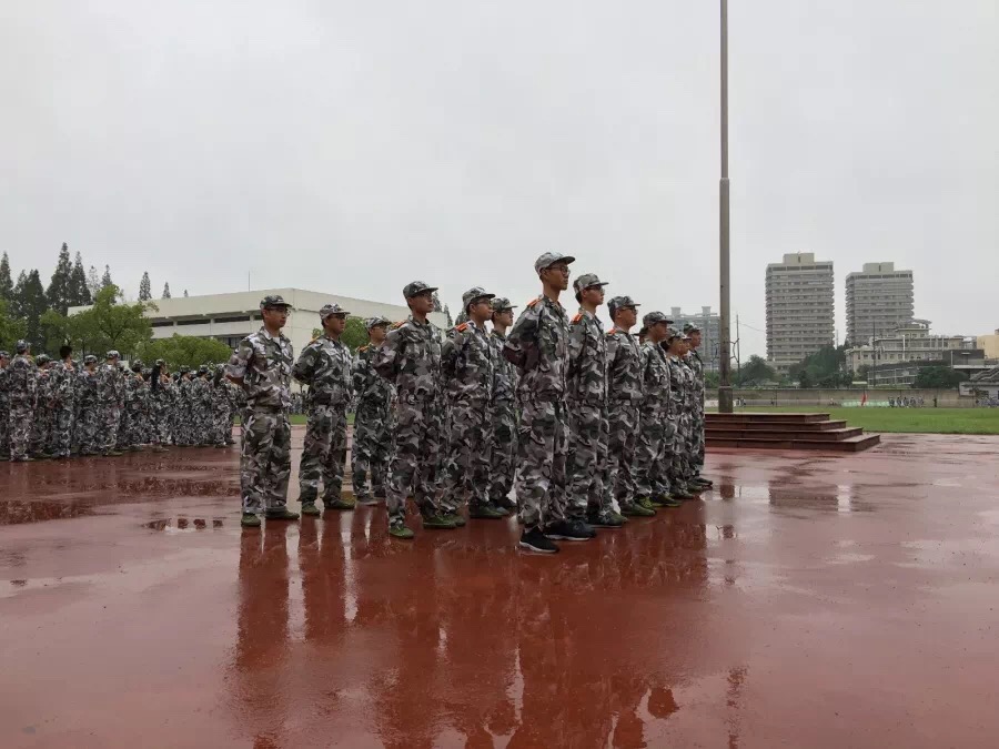 1535335545618055254.jpeg D16E173B-9A3F-48AB-B671-28F06DB93432.jpeg